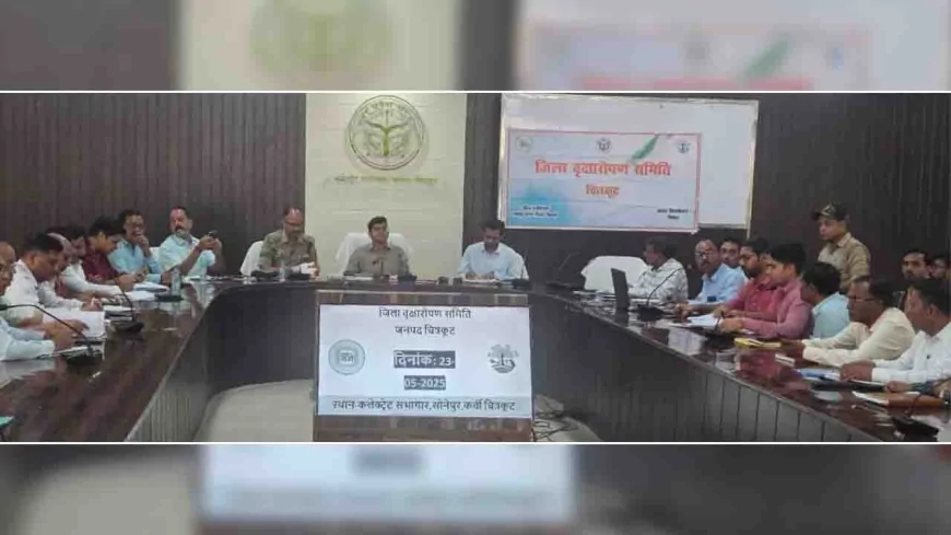 समन्वय बनाकर रोड के किनारे कराएं वृक्षारोपण : डीएम