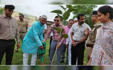 अफसरो ने कलेक्ट्रेट परिसर में लगाए पौधे