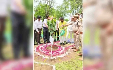 आयुष मंत्री ने हरिशंकरी पौधरोपण कर मनाया वन महोत्सव कार्यक्रम