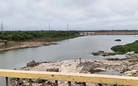 बांदा में केन नदी का जलस्तर बढ़ा, यमुना में गिरावट जारी