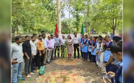 वन महोत्सव : जीटीडीसी में रोपे गए पौधे