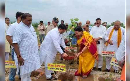 महिला कल्याण निगम अध्यक्ष ने सरैया ग्रामवन में नवग्रह वृक्षारोपण कर महोत्सव का किया शुभारंभ