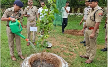 एसपी ने पुलिस लाइन में लगाया पाकड़ का पौधा