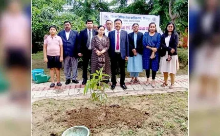 जिला जज ने न्यायालय परिसर में किया पौधरोपण