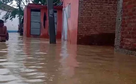 हमीरपुर के हरसुंडी गांव में मूसलाधार बारिश से भरा चार फीट पानी, कई मकान गिरे