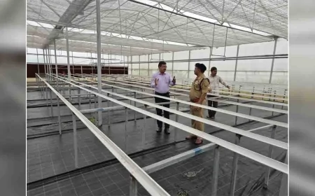 जनपद को मिली हाईटेक नर्सरी की सौगात, सितंबर से शुरू होगा उत्पादन