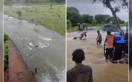 मप्र में जमकर बरस रहा मानूसन, 4 जिलों में बाढ़ जैसे हालात, आज 35 जिलों में तेज बारिश का अलर्ट