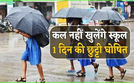 चित्रकूट धाम मंडल  में भारी बारिश और बाढ़ को देखते हुए डीएम का आदेश, स्कूल रहेंगे बंद