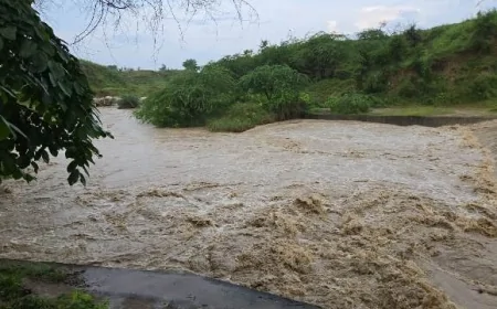 चेकडेम पार कर रहे दाे अधेड़ धसान नदी में डूबे, तलाश जारी