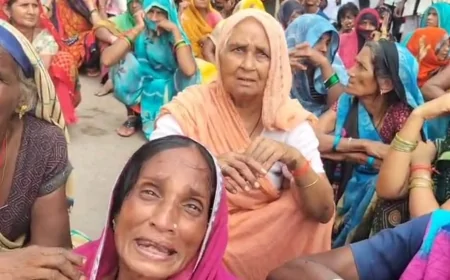 हमीरपुर में गधाें के झुंड ने मासूम को रौंदा, मौत