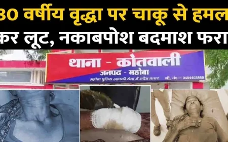 Mahoba: Old woman robbed inside her house, stabbed with knife when she resisted