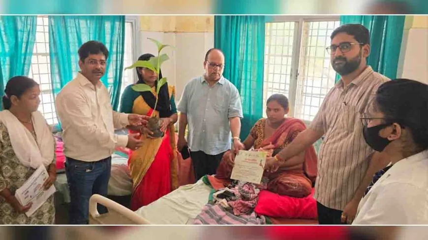 ग्रीन गोल्ड प्रमाण पत्र के साथ बांटे गए सहजन के पौधे