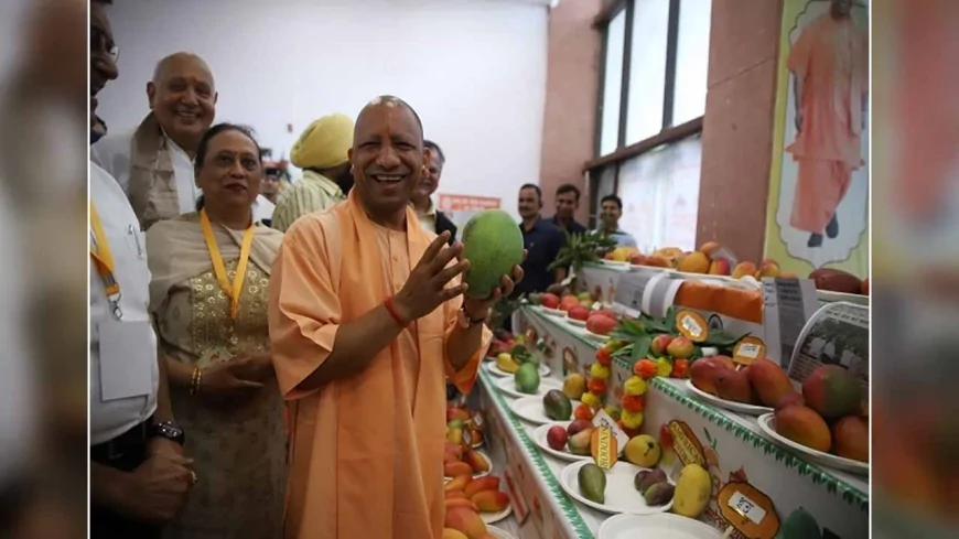 सीएम याेगी ने लखनऊ में तीन दिवसीय 'उत्तर प्रदेश आम महोत्सव- 2025' का किया शुभारंभ