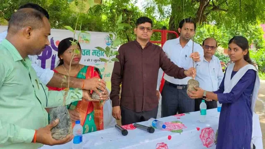 डीएम ने पौधरोपण कर देखभाल करने पर दिया जोर