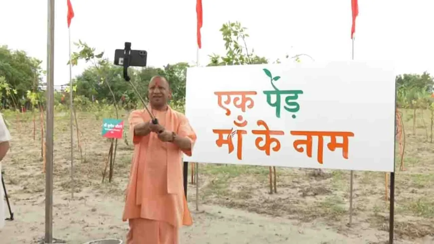वृक्षारोपण महाअभियान 2025 : यूपी में 5 घंटे में लग गए 16 करोड़ पेड़