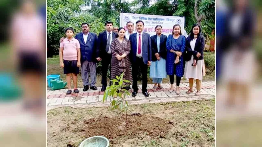 जिला जज ने न्यायालय परिसर में किया पौधरोपण