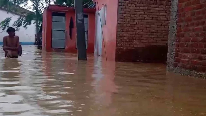 हमीरपुर के हरसुंडी गांव में मूसलाधार बारिश से भरा चार फीट पानी, कई मकान गिरे