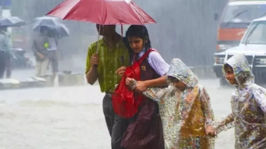 चित्रकूट: भारी बारिश के चलते 18 जुलाई को कक्षा 8 तक के सभी विद्यालय रहेंगे बंद
