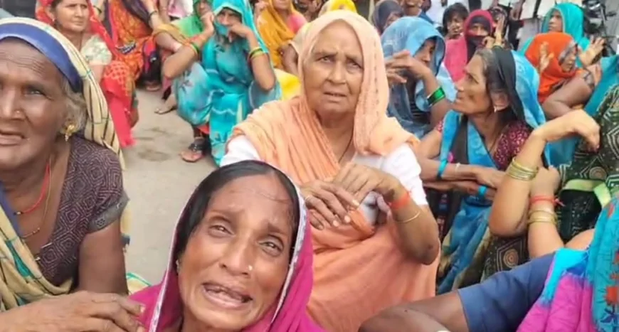 हमीरपुर में गधाें के झुंड ने मासूम को रौंदा, मौत