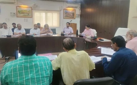 सड़क पर नहीं मिलना चाहिए कोई भी गौवंश : सीडीओ