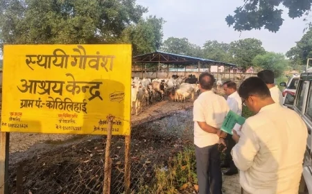 एडीएम ने कोठिलिहाई गौशाला का किया औचक निरीक्षण