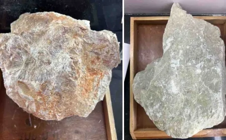 बुंदेलखंड में गोरा पत्थर व डायस्पोर पर वैज्ञानिक शोध को मिली हरी झंडी