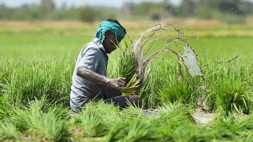 महाेबा डीएम ने फसल बीमा की जांच के लिए तीन समिति गठित की