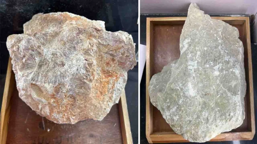 बुंदेलखंड में गोरा पत्थर व डायस्पोर पर वैज्ञानिक शोध को मिली हरी झंडी