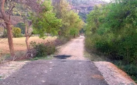 दीपावली से पहले बनवाई जाए पंचकोसी परिक्रमा मार्ग की अधूरी सड़क : बुंदेली सेना