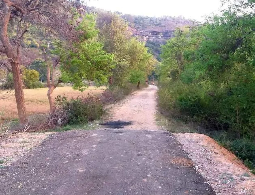 दीपावली से पहले बनवाई जाए पंचकोसी परिक्रमा मार्ग की अधूरी सड़क : बुंदेली सेना