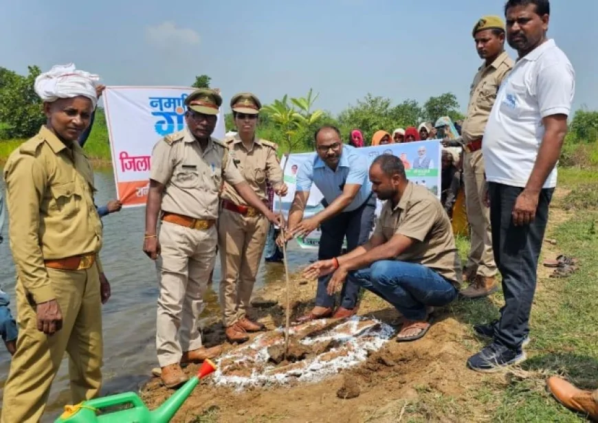 पौधरोपण कर चलाया स्वच्छता अभियान