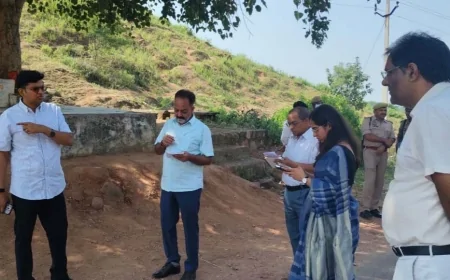 भ्रमण कर सड़क एवं साफ-सफाई का डीएम ने लिया जायजा