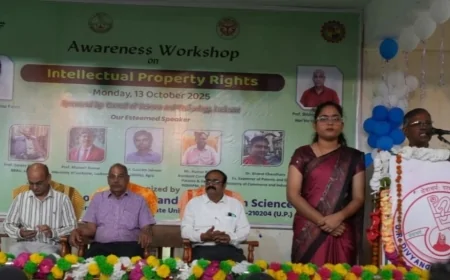 बौद्धिक संपदा अधिकार से सुरक्षित करें नवाचार : कुलपति