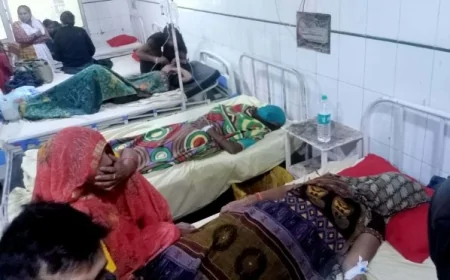 मधुमक्खियों के हमले से आधा दर्जन लोग भर्ती