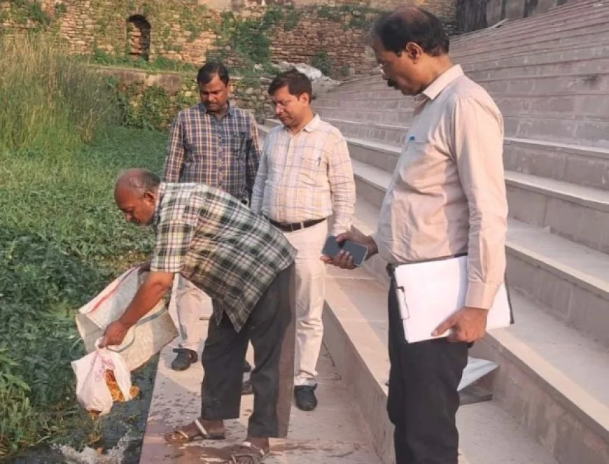 खाद्य सुरक्षा टीम ने सीज व नष्ट कराया अस्वास्थ्यकर खाद्य सामग्री