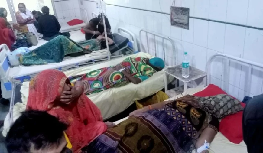 मधुमक्खियों के हमले से आधा दर्जन लोग भर्ती