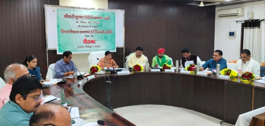 कागज पर नहीं धरातल पर दिखना चाहिए विकास कार्य : सांसद