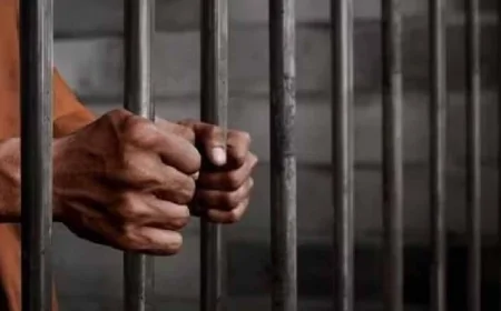 दहेज में भैंस और मोटरसाइकिल न मिलने पर विवाहिता की हत्या, पति को 10 वर्ष की सजा