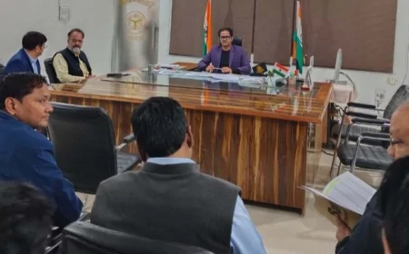 प्राथमिकता के अनुसार हटाया जाये विद्यालयों के ऊपर से गुजर रही हाईटेशन लाइन तार : डीएम