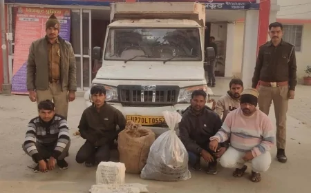 सोलर प्लांट से वायर काटने वाले पांच शातिरो को पुलिस ने दबोचा