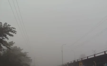 घने कोहरे और भीषण ठंड की गिरफ्त में यूपी, 50 जिलों में रेड अलर्ट