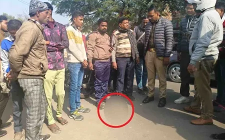 बाँदा : स्वराज कॉलोनी में मंदिर के सामने मिला गोवंश का कटा सिर, आक्रोशित हिंदू संगठनों ने किया सड़क जाम