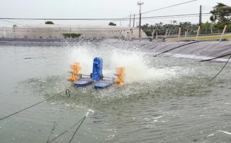 बांदा : मत्स्य पालकों की आय बढ़ाने के लिए योगी सरकार की बड़ी पहल, अब तालाबों में लगेंगे 'एरेशन सिस्टम'