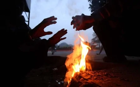 शीतलहर का कहर किसान, वृद्ध और ट्रक चालक की मौत, अस्पतालों में बढ़े मरीज