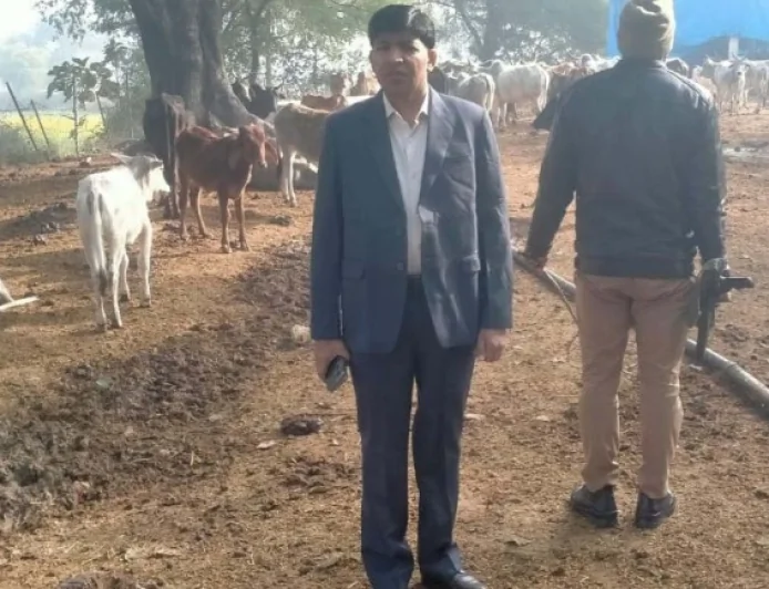 सीडीओ ने कर्वी माफी गौशाला का किया निरीक्षण