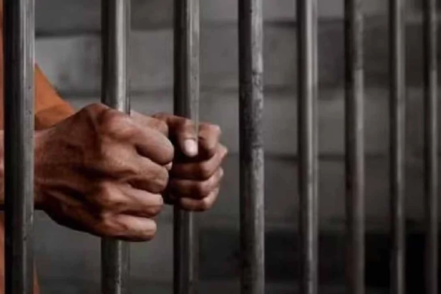 दहेज में भैंस और मोटरसाइकिल न मिलने पर विवाहिता की हत्या, पति को 10 वर्ष की सजा