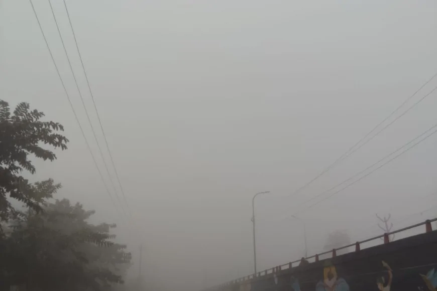 घने कोहरे और भीषण ठंड की गिरफ्त में यूपी, 50 जिलों में रेड अलर्ट