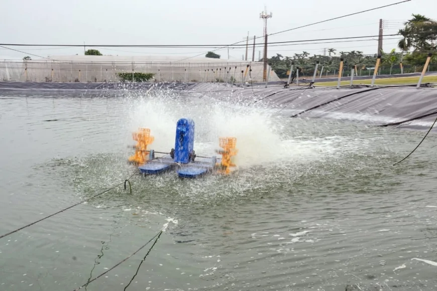 बांदा : मत्स्य पालकों की आय बढ़ाने के लिए योगी सरकार की बड़ी पहल, अब तालाबों में लगेंगे 'एरेशन सिस्टम'