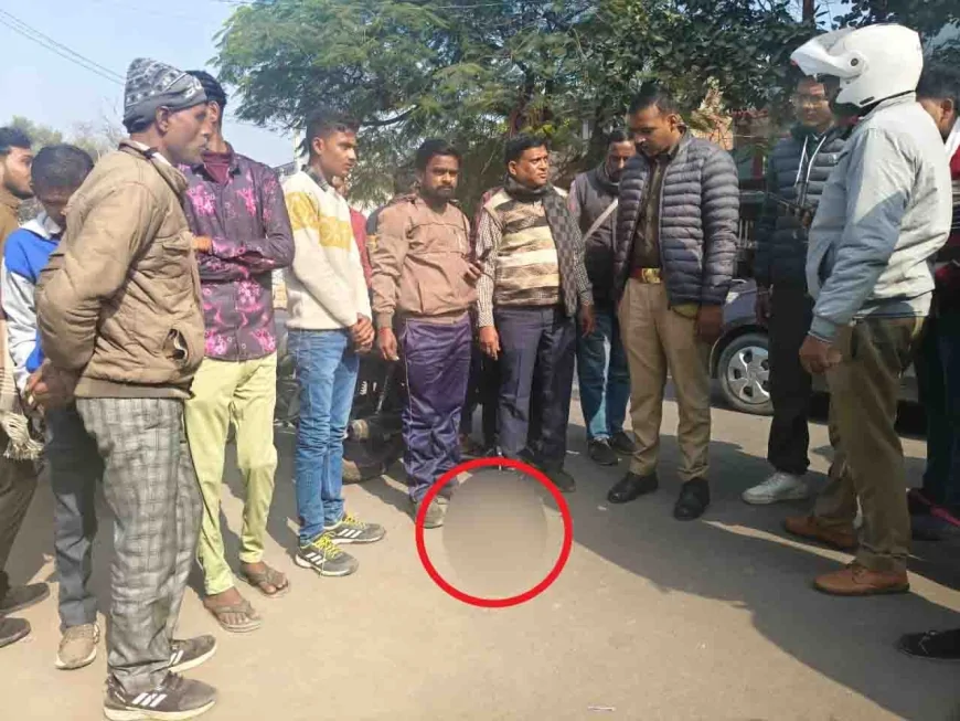 बाँदा : स्वराज कॉलोनी में मंदिर के सामने मिला गोवंश का कटा सिर, आक्रोशित हिंदू संगठनों ने किया सड़क जाम