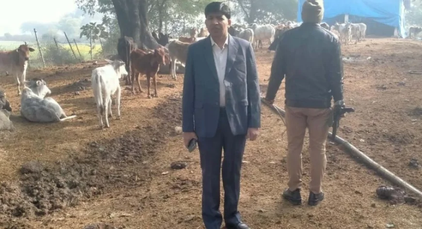 सीडीओ ने कर्वी माफी गौशाला का किया निरीक्षण